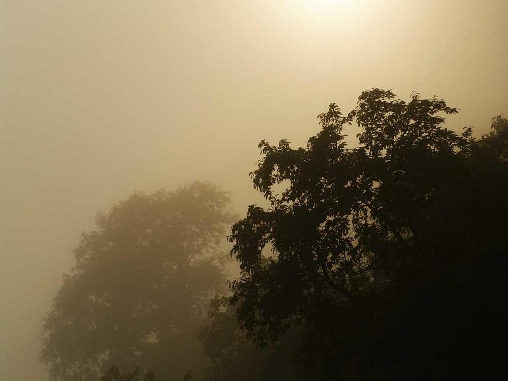 Chikmagalur Coffee Hills photo 3