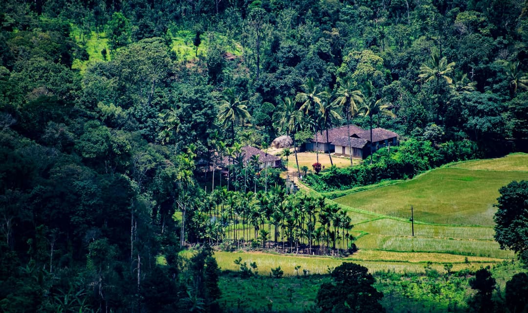 Coorg's Hills to South India's